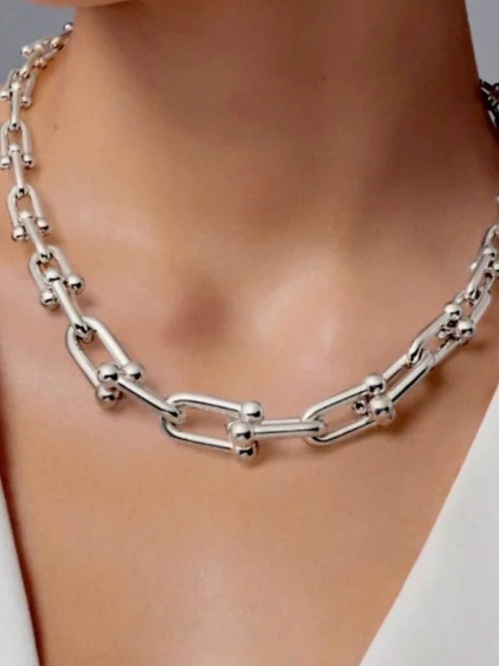 Hardwear graduated u-shaped link silver-toned necklace, Industrial Modern Chic